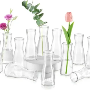 Kleine Glasvasen Klar Flower Vase Set 12 Stück Modern für