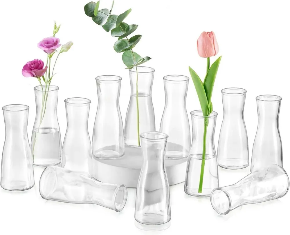 Kleine Glasvasen Klar Flower Vase Set 12 Stück Modern für