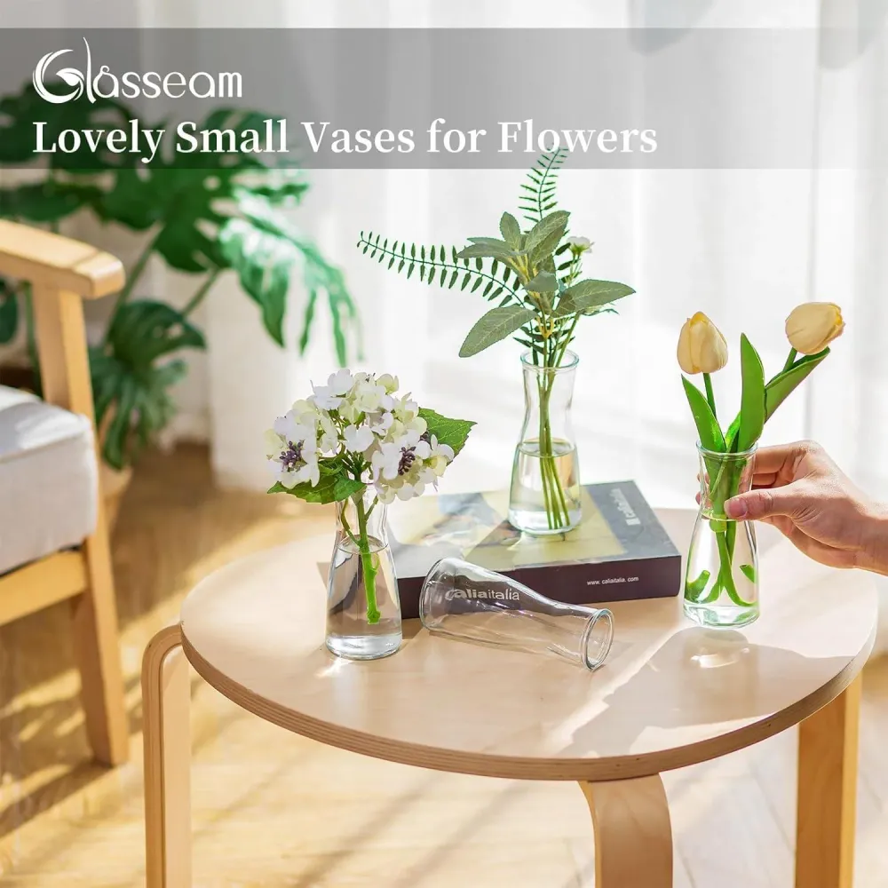 Kleine Glasvasen Klar Flower Vase Set 12 Stück Modern für