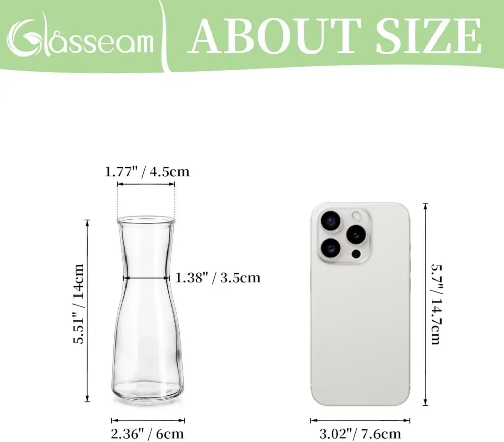 Kleine Glasvasen Klar Flower Vase Set 12 Stück Modern für