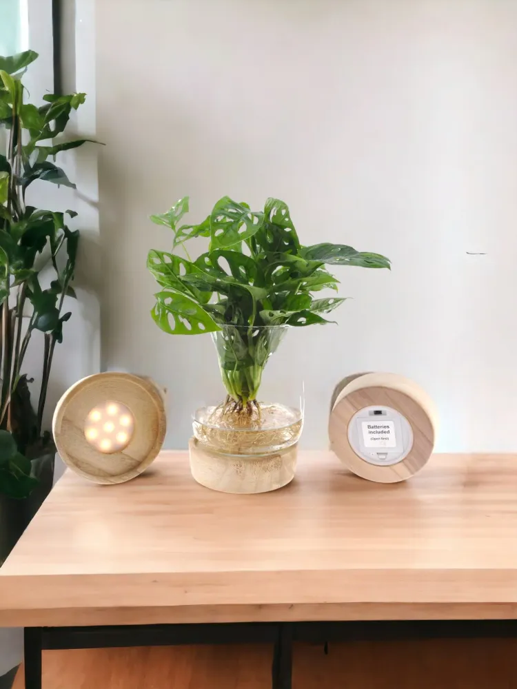 Monstera-Vase und LED-Sockel