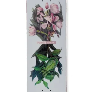 Theories Flora 8.125 Deck