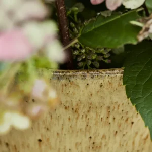 Vase, HDCorp, Beige