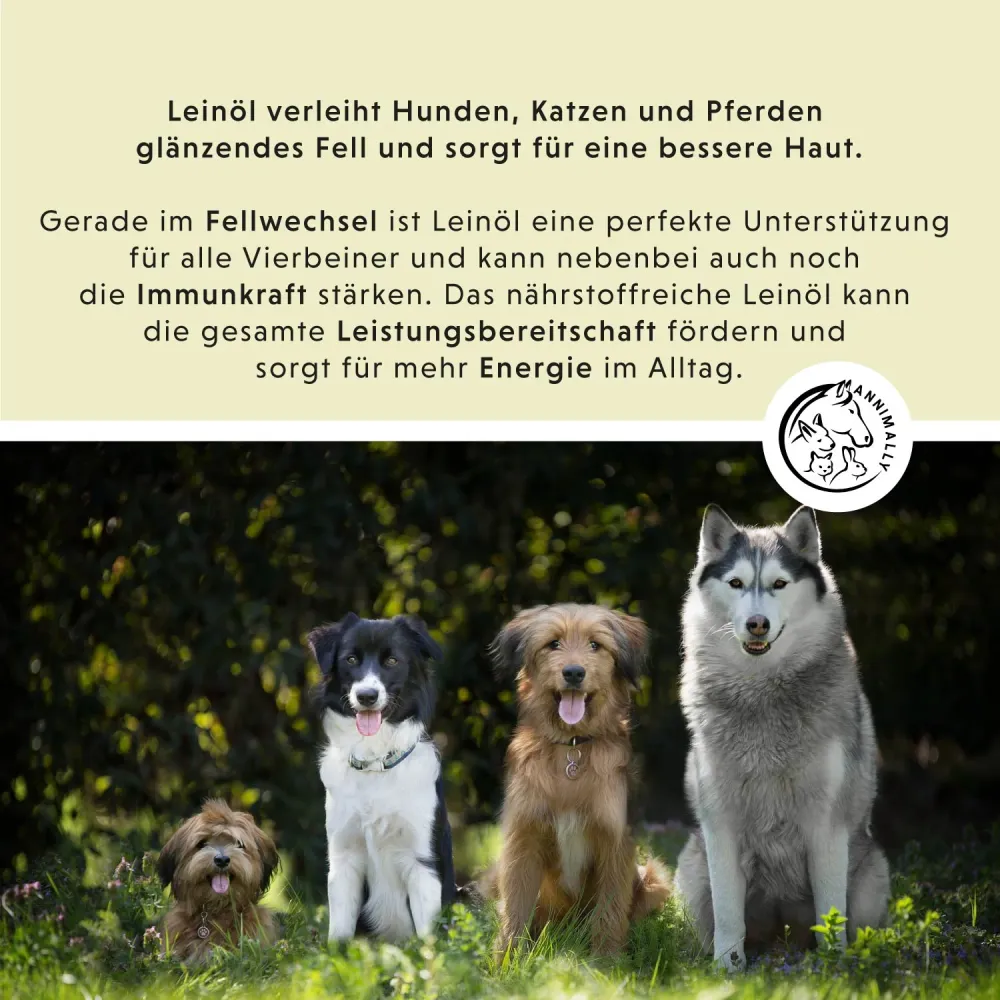 Leinöl