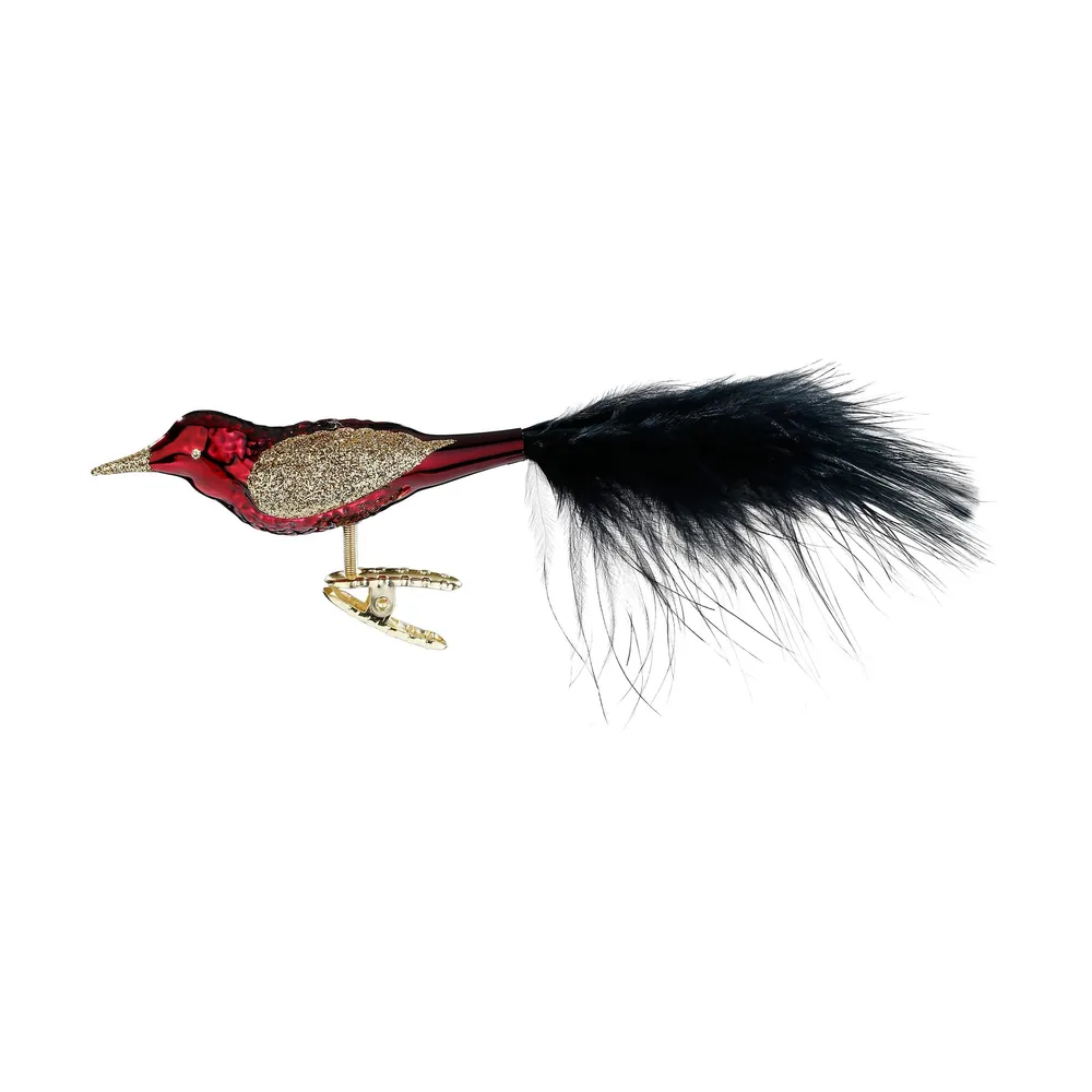 Bordeauxroter Vogel mit schwarzer Feder