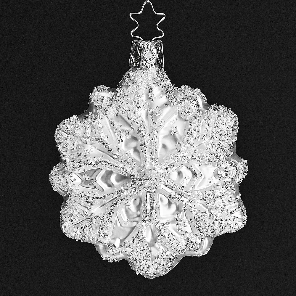 Zauberhafte silberne Schneeflocke