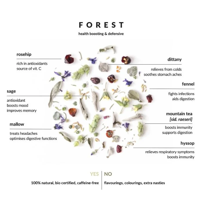 Bio Kräuterteemischung Forest - Trink es, pflanze es