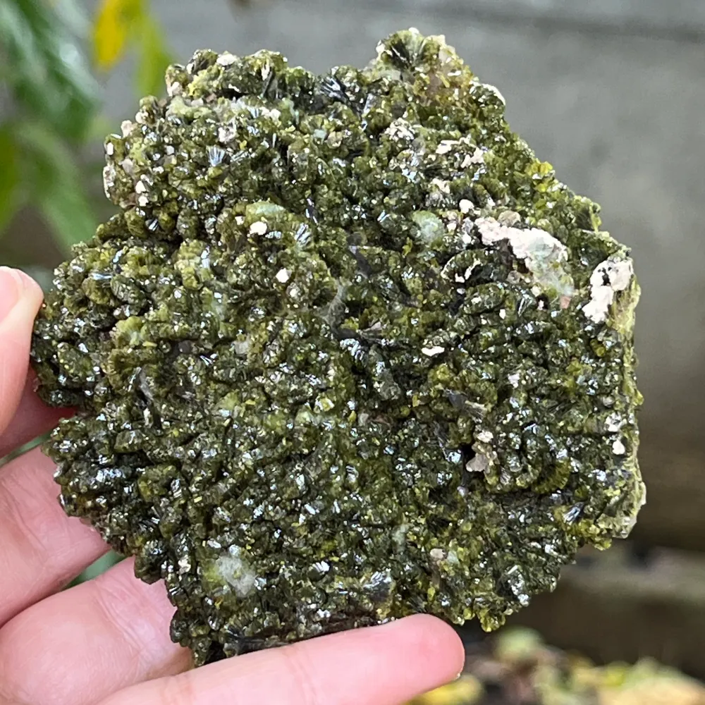 Epidot Mineralblume Einzelstück | Modell 9