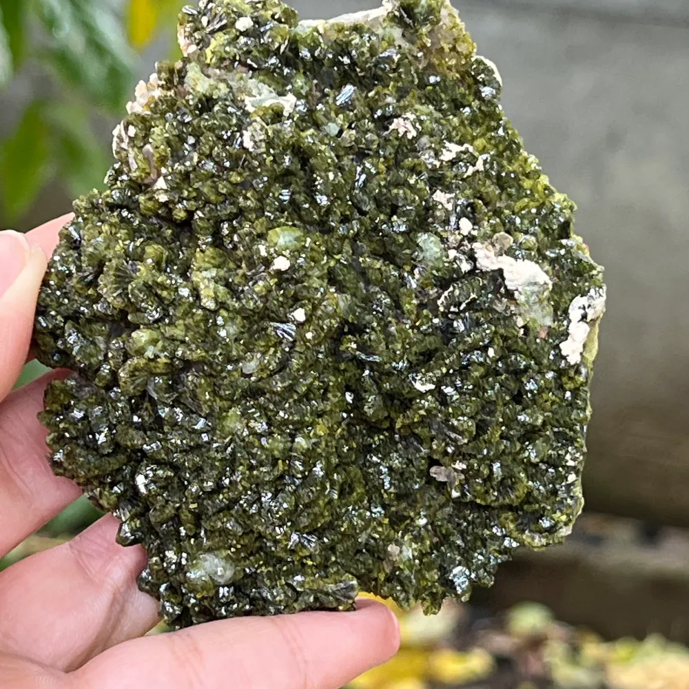 Epidot Mineralblume Einzelstück | Modell 9