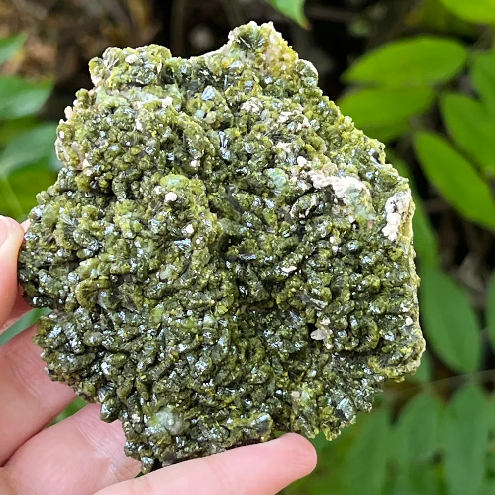 Epidot Mineralblume Einzelstück | Modell 9