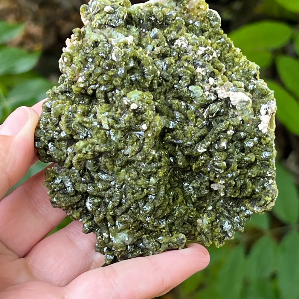 Epidot Mineralblume Einzelstück | Modell 9