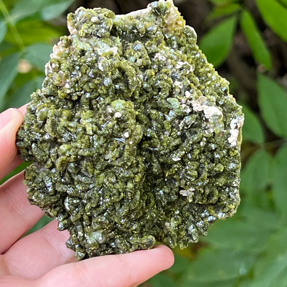 Epidot Mineralblume Einzelstück | Modell 9