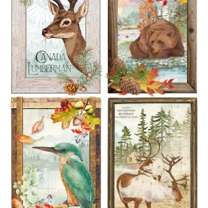 Reispapier A4 - Into wild - Forest cards