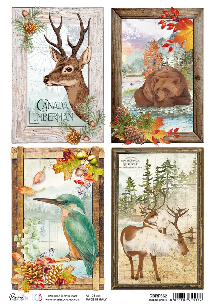 Reispapier A4 - Into wild - Forest cards