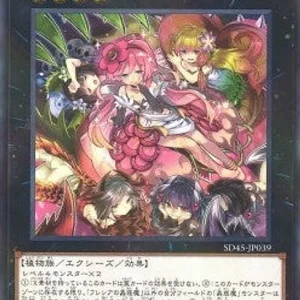Traptrix Rafflesia - Structure Deck: Forest Traptrix (Parallel Rare) [SD45-039]