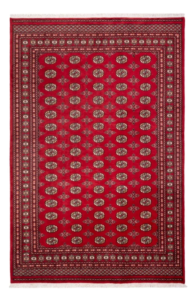 Afghan Teppich - Buchara - 298 x 198 cm - rot