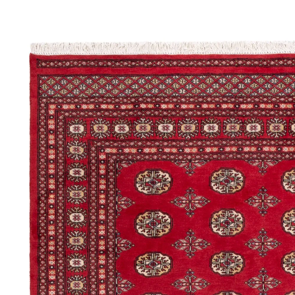 Afghan Teppich - Buchara - 298 x 198 cm - rot