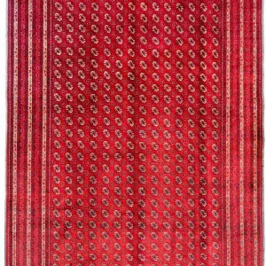Afghan Teppich - Buchara 300 x 195 cm