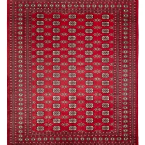Afghan Teppich - Buchara - 307 x 247 cm - rot