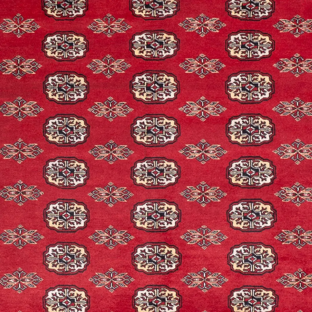 Afghan Teppich - Buchara - 307 x 247 cm - rot