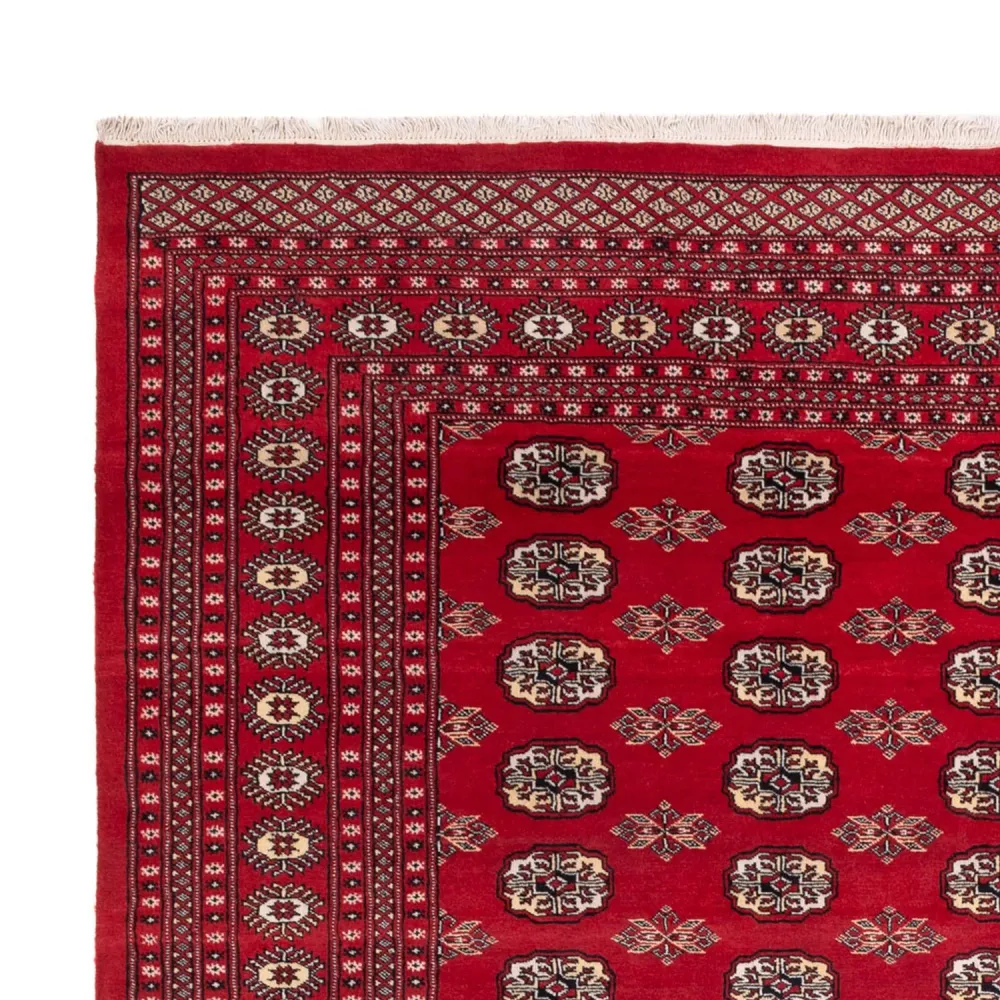Afghan Teppich - Buchara - 307 x 247 cm - rot