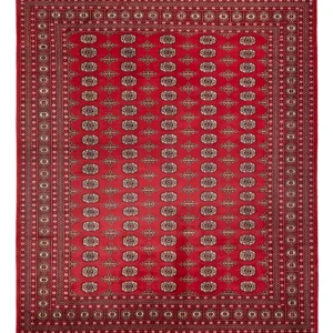 Afghan Teppich - Buchara - 312 x 244 cm - rot