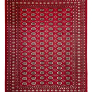 Afghan Teppich - Buchara - 322 x 248 cm - rot