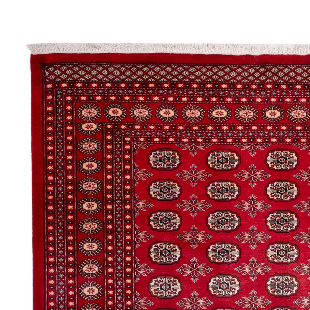 Afghan Teppich - Buchara - 322 x 248 cm - rot