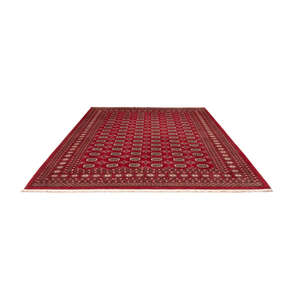 Afghan Teppich - Buchara - 322 x 248 cm - rot