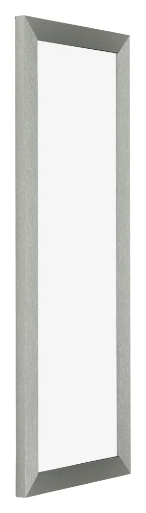 Bilderrahmen 20x60 cm - Champagner - MDF - Mura