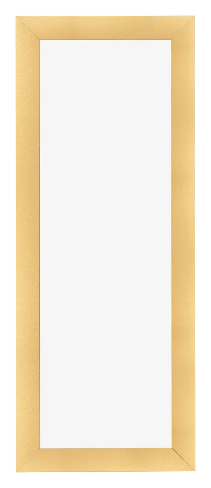 Bilderrahmen 20x60 cm - Gold Matt - MDF - Pisa