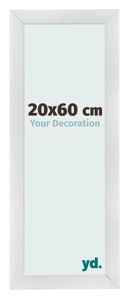 Bilderrahmen 20x60 cm - Silber Matt - MDF - Pisa