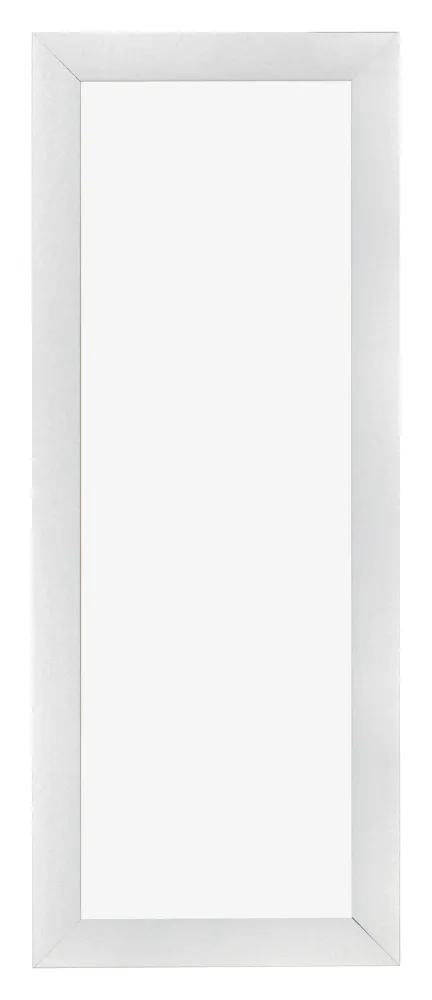Bilderrahmen 20x60 cm - Silber Matt - MDF - Pisa