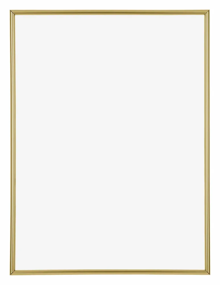 Bilderrahmen 24x32 cm - Gold - Kunststoff - Annecy