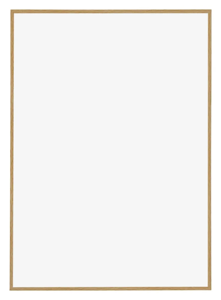 Bilderrahmen A3 - 29,7x42 cm - DIN A3 Buche Hell - Kunststoff - Evry