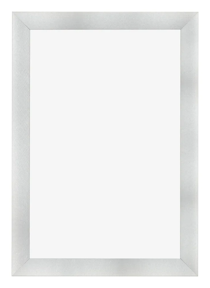 Bilderrahmen 30x45 cm - Aluminium Gebürstet - MDF - Pisa
