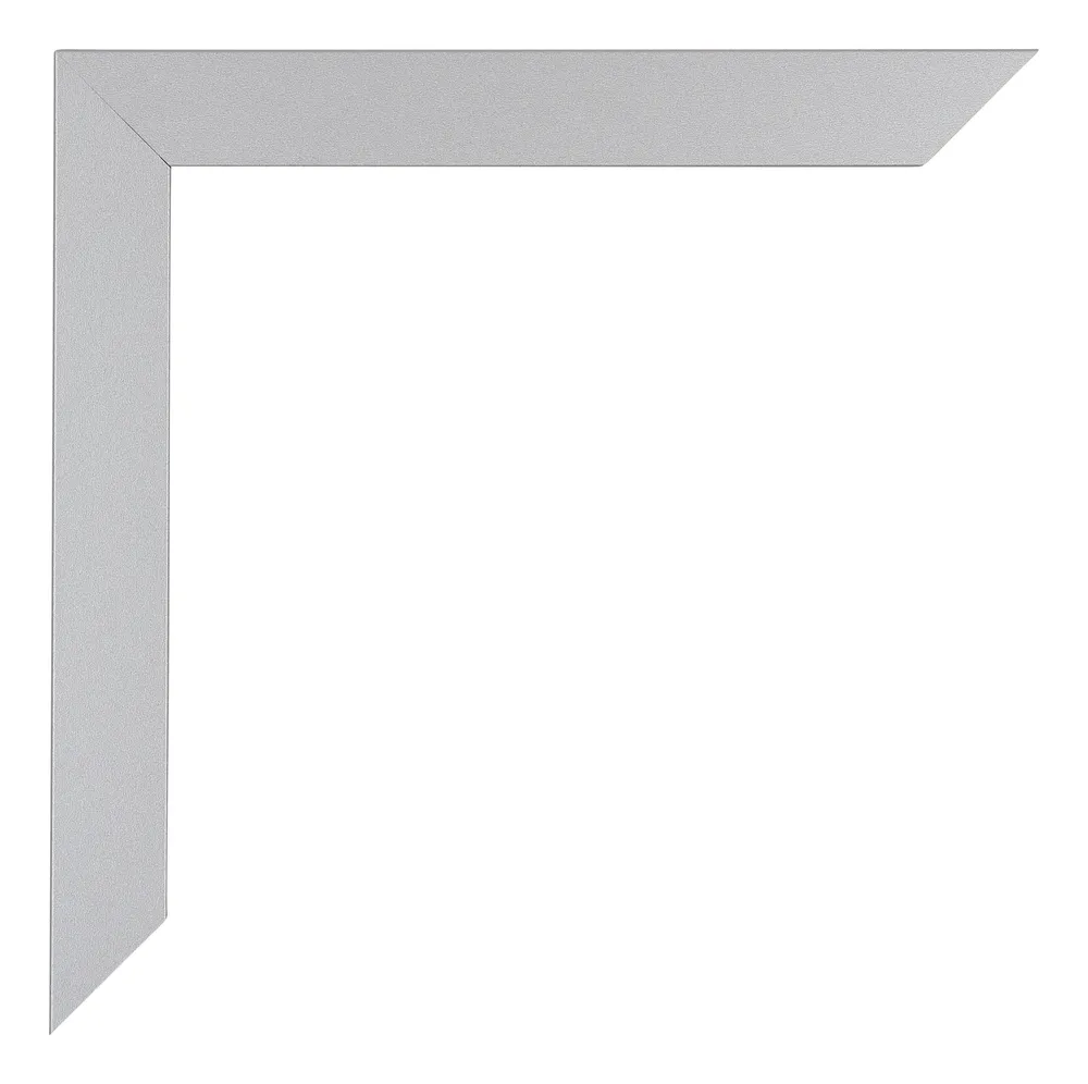 Bilderrahmen 30x60 cm - Silber Matt - MDF - Mura
