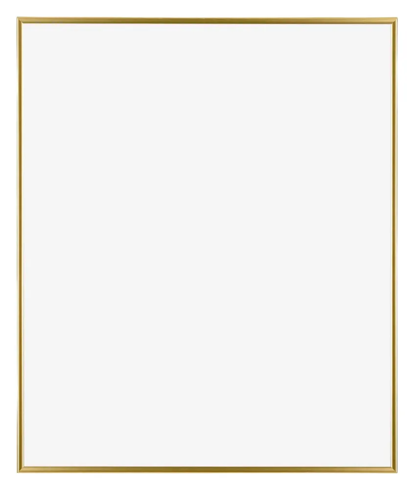 Bilderrahmen 40x55 cm - Gold - Kunststoff - Evry