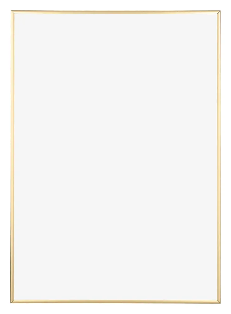 Bilderrahmen A2 - 42x59,4 cm - DIN A2 Gold - Aluminium - Kent