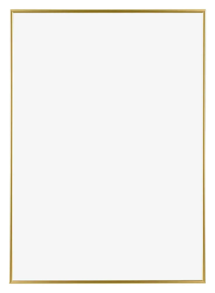 Bilderrahmen A2 - 42x59,4 cm - Gold - Kunststoff - Evry