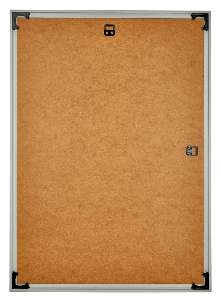 Bilderrahmen 42x60 cm - Champagner - Kunststoff - Evry