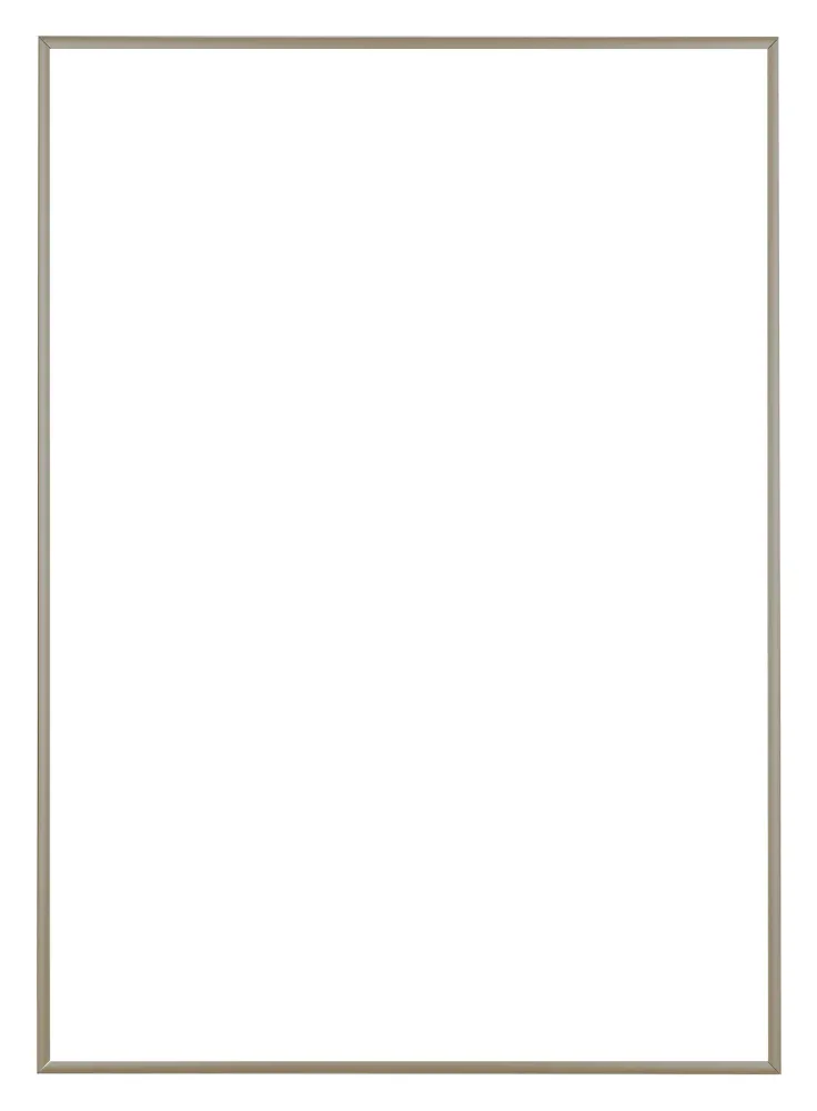 Bilderrahmen 48x67 cm - Champagner - Aluminium - Kent