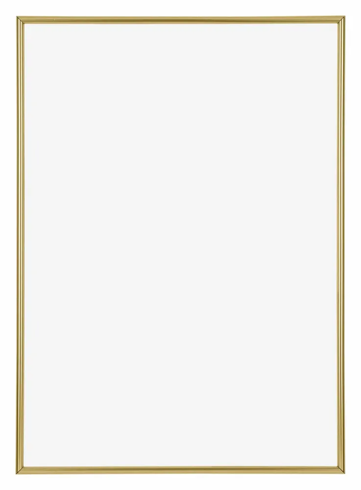 Bilderrahmen 50x70 cm - Gold - Kunststoff - Annecy
