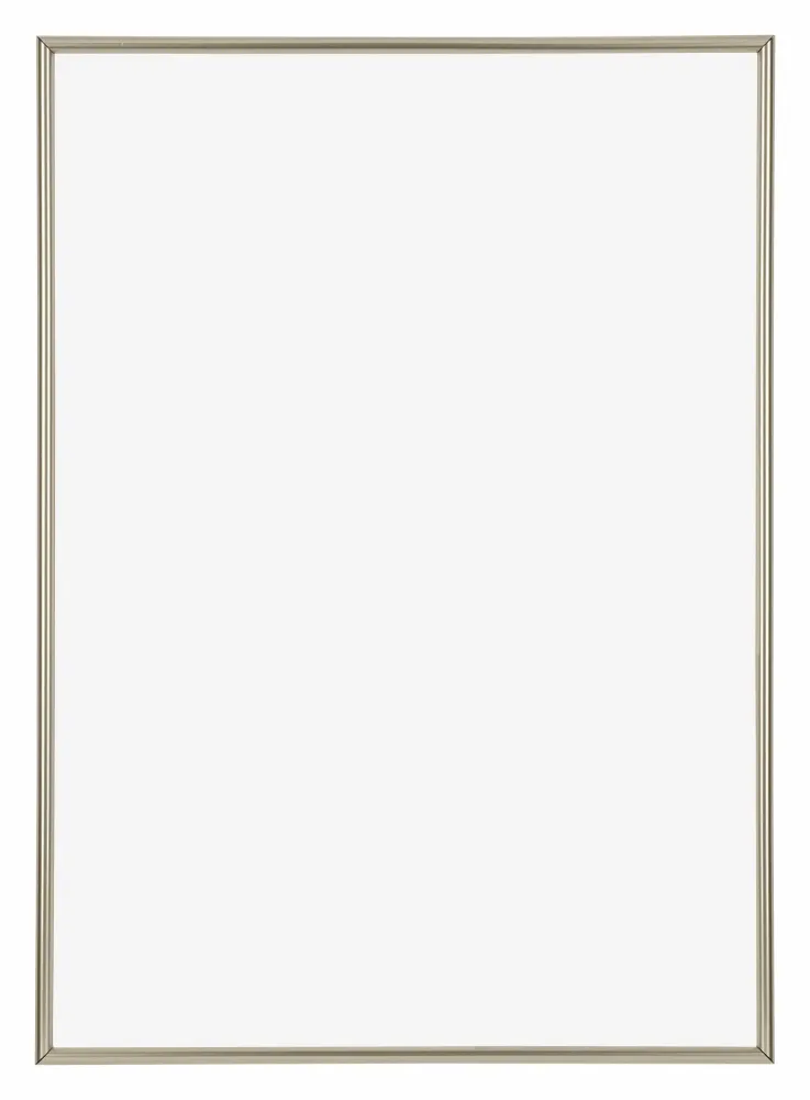 Bilderrahmen A1 - 59,4x84 cm - Champagner - Kunststoff - Annecy
