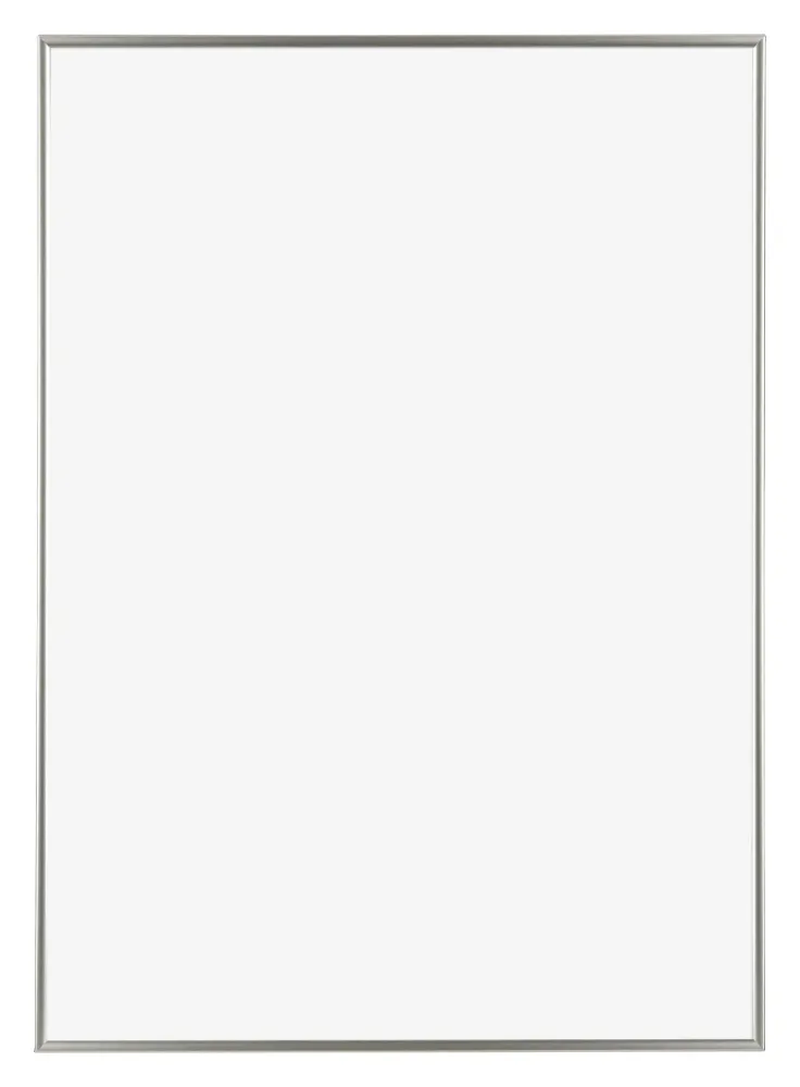 Bilderrahmen 59x84 cm - Champagner - Kunststoff - Evry