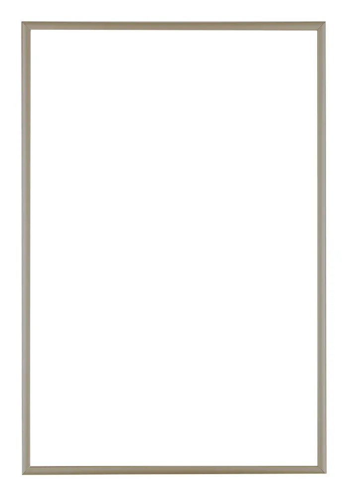 Bilderrahmen 61x91,5 cm - Champagner - Aluminium - Kent