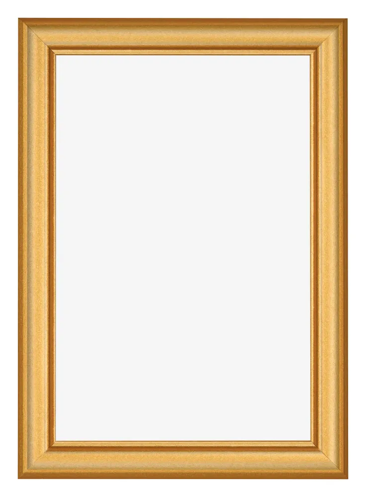 Bilderrahmen 61x91,5 cm - Gold Matt - MDF - Lazio