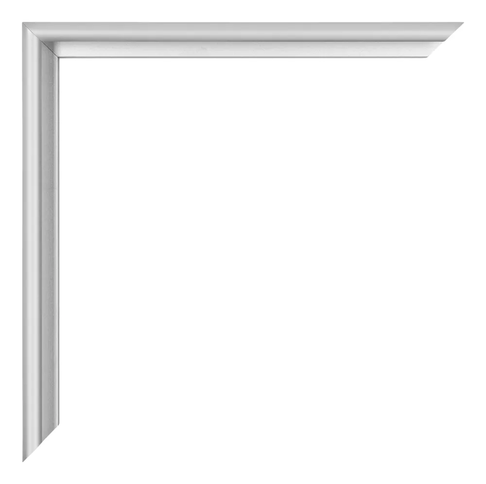 Bilderrahmen 62x93 cm - Silber Matt - Aluminium - Miami