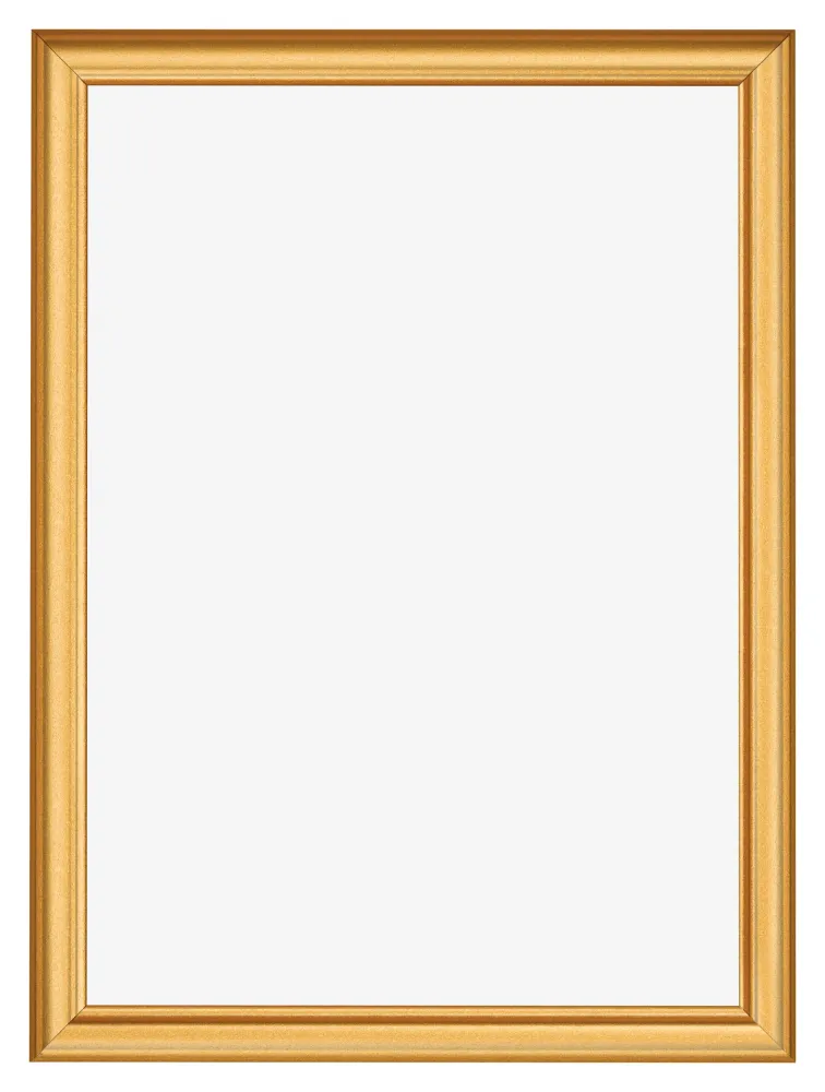 Bilderrahmen 70x100 cm - Gold Matt - MDF - Lazio