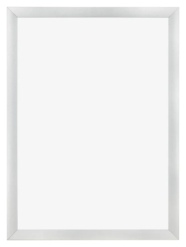 Bilderrahmen 70x100 cm - Silber Matt - MDF - Pisa